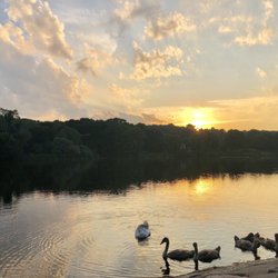 Upper Charles River Trail