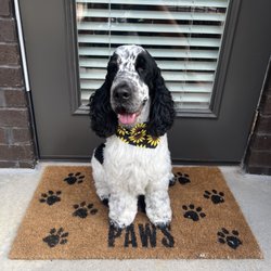 Woof Gang Bakery and Grooming Beltline Giftly Email, Text or