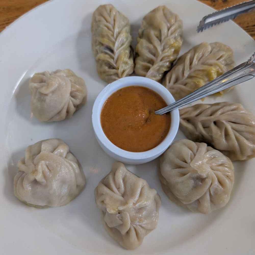 Pork and veggie dumplings Pork and veggie dumplings