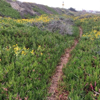 Pescadero State Beach - Path between south/mid north parking areas - Beaches Near Me - Pescadero, California
