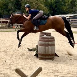 Houghton Riding Instruction