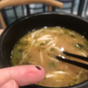 Ludingji Noodles - A dead Roach in the soup - Chinese Near Me - San Gabriel, California Ludingji Noodles - A dead Roach in the soup - Chinese Near Me - San Gabriel, California