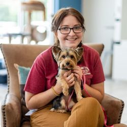 All Paws Inn Pet Resort and Daycare