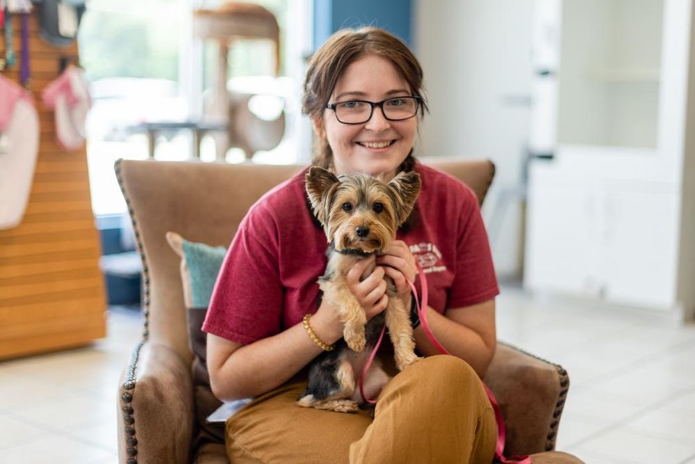 ALL PAWS INN PET RESORT AND DAYCARE Updated July 2024 37 Photos