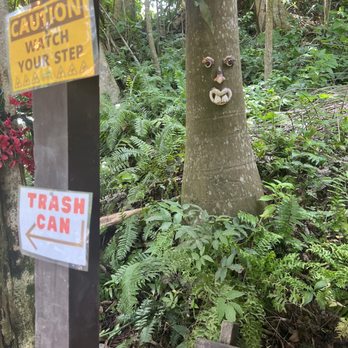 Carabali Rainforest Park - This is decor at a rest stop that we take during the ATV trip - Horseback Riding Near Me - Luquillo, Puerto Rico