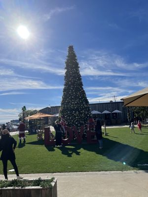 Kristy's Malibu by null