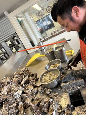 Oregon Oyster Farms by null