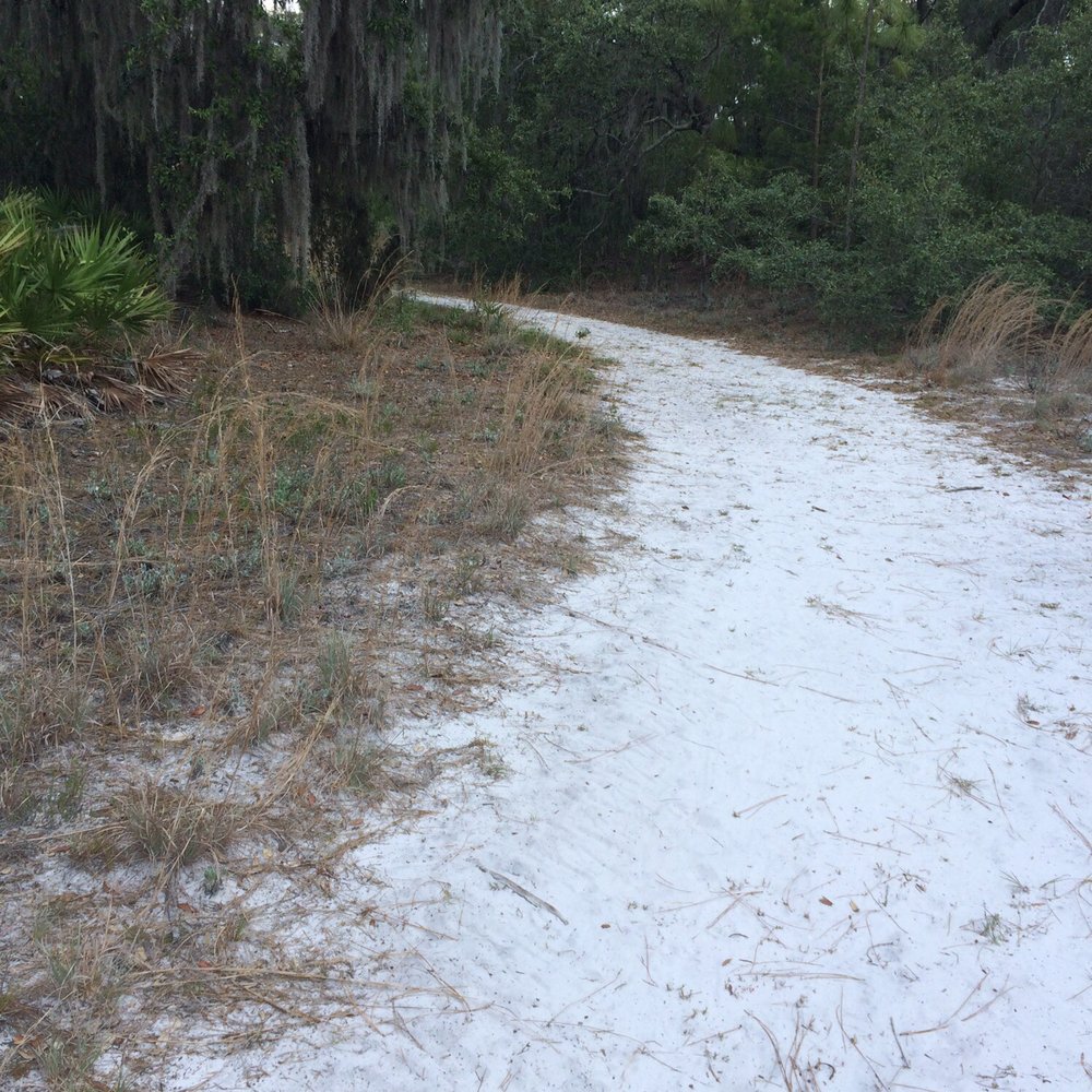Bell Creek Nature Preserve - The Sand Path! - Hiking Near Me - Riverview, Florida