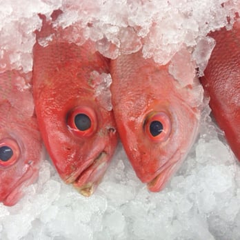 Dyre Fish Market - Hello boys! - Seafood Near Me - Bronx, New York
