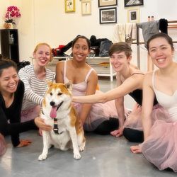 Wild Heart Performing Arts Studio