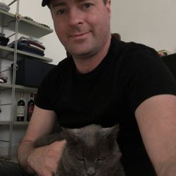 cat sitter needed near me