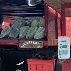 Usher’s Farm - Amazing corn!