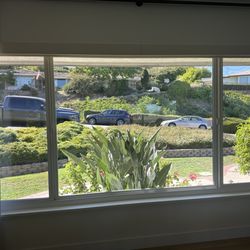 Greenie’s Window Cleaning - Front window