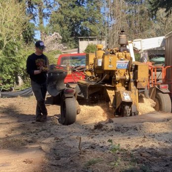 Stone’s Stump Grinding - Tree Services Near Me Stone’s Stump Grinding - Tree Services Near Me