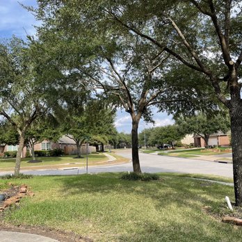 TNT Tree Service - My neighbors can see around the trees now for oncoming traffic. - Tree Services Near Me - Kingwood, Texas TNT Tree Service - My neighbors can see around the trees now for oncoming traffic. - Tree Services Near Me - Kingwood, Texas