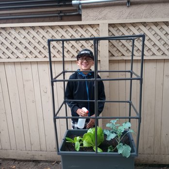 Darnall Charter School - Our garden club was able to send home garden beds to the family that wanted grow some vegetables at home. - Elementary Schools Near Me - San Diego, California Darnall Charter School - Our garden club was able to send home garden beds to the family that wanted grow some vegetables at home. - Elementary Schools Near Me - San Diego, California