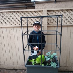Darnall Charter School - Our garden club was able to send home garden beds to the family that wanted grow some vegetables at home.