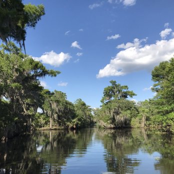 Airboat Adventures - Beautiful swamp view - Boat Tours Near Me - Lafitte, Louisiana