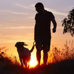 Off Leash K9 Training Kansas City