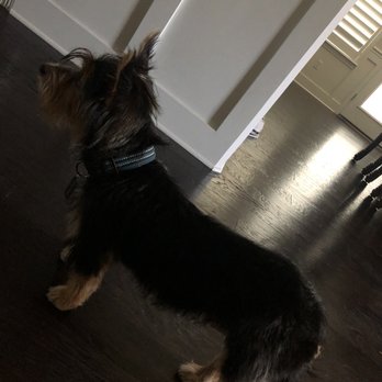 Bark Avenue - Pet Groomers Near Me - Cedar Park, Texas