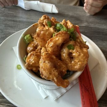 Gecko's Grill & Pub - Boom Boom Shrimp - Sports Bars Near Me - Sarasota, Florida Gecko's Grill & Pub - Boom Boom Shrimp - Sports Bars Near Me - Sarasota, Florida