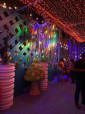 Wonder Bar by null