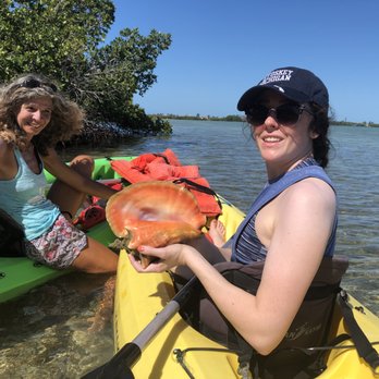 Key West Eco Tours - Holding one of the beautiful conchs our guide found. She was careful to make sure they were kept wet when out of the water. - Boating Near Me - Key West, Florida Key West Eco Tours - Holding one of the beautiful conchs our guide found. She was careful to make sure they were kept wet when out of the water. - Boating Near Me - Key West, Florida