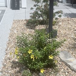 Just Perfect Plants