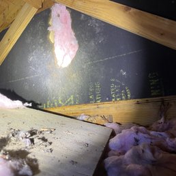 Destroyed attic & insulation Destroyed attic & insulation