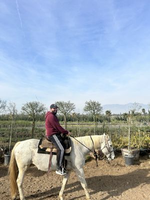 S&D Horseback Riding by null
