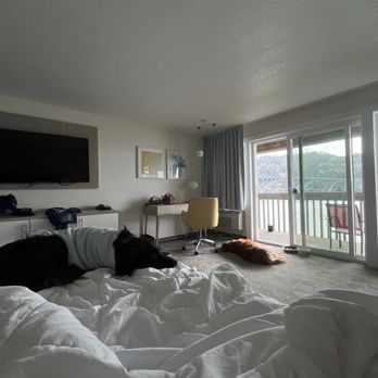 Jot's Resort - King room with happy pups - Resorts Near Me - Gold Beach, Oregon