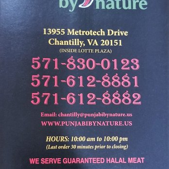 Punjabi By Nature - Menu - Indian Near Me - Chantilly, Virginia Punjabi By Nature - Menu - Indian Near Me - Chantilly, Virginia