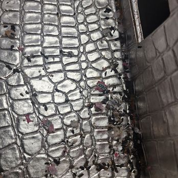 Extra Space Storage - Mouse droppings in my storage unit - Self Storage Near Me - Milford, Connecticut Extra Space Storage - Mouse droppings in my storage unit - Self Storage Near Me - Milford, Connecticut