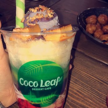 Coco Leaf - Che Halo Halooooooooo - Coffee & Tea Near Me - Boston, Massachusetts Coco Leaf - Che Halo Halooooooooo - Coffee & Tea Near Me - Boston, Massachusetts