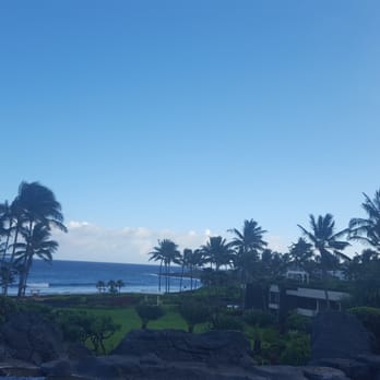 Seaview Terrace - Beautiful views - Coffee & Tea Near Me - Poipu, Hawaii Seaview Terrace - Beautiful views - Coffee & Tea Near Me - Poipu, Hawaii