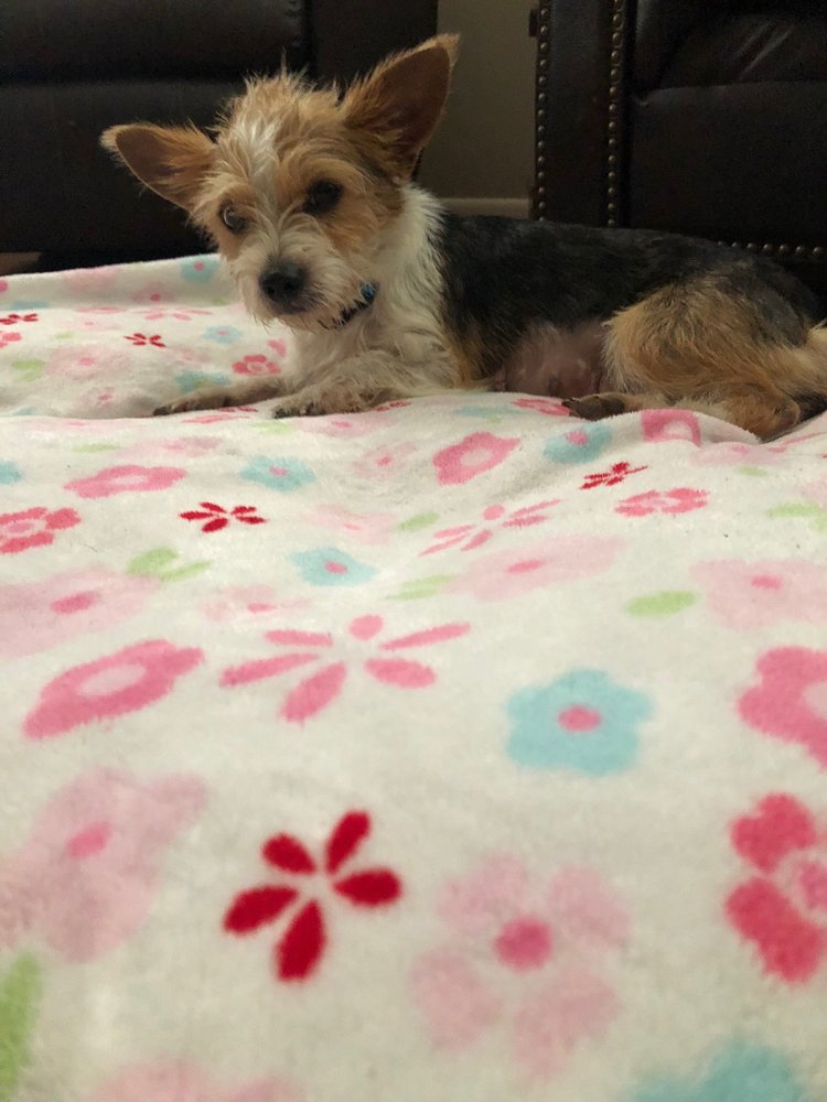 LIVE OAK VETERINARY ASSOCIATES Updated June 2024 3283 Veterans Pkwy