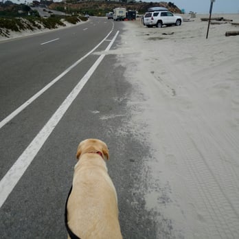 South Ponto Beach - Walking along the street. Dogs are not allowed on the beach. Bummer..... - Beaches Near Me - Carlsbad, California South Ponto Beach - Walking along the street. Dogs are not allowed on the beach. Bummer..... - Beaches Near Me - Carlsbad, California