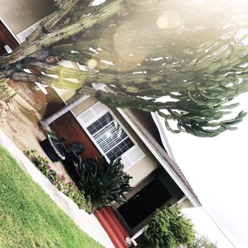 Jimmie's Tree Service - Tree Services Near Me Jimmie's Tree Service - Tree Services Near Me