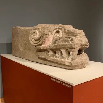 Phoenix Art Museum - Art Museums Near Me - Phoenix, Arizona