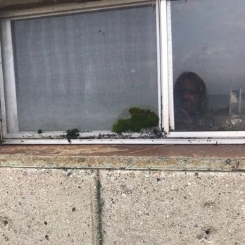 Riviera Motel - Mold? - Hotels Near Me - Mackinaw City, Michigan