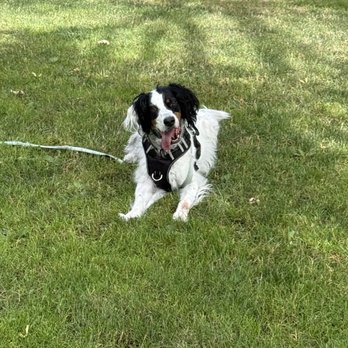 Sit and Stay Central Oregon - Pet Sitting Near Me Sit and Stay Central Oregon - Pet Sitting Near Me