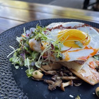 Lechon - Foraged Mushrooms - delicious - Tapas Bars Near Me - Portland, Oregon