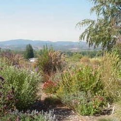 Country Garden Cottage - Gardens