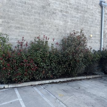 Muro Tree Service - Tree Services Near Me