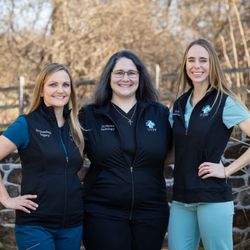 United Vision Pet Partners