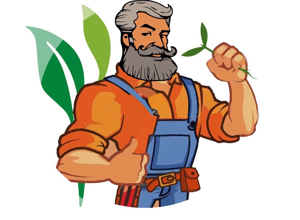 MCM OHIO - tree service in Columbus, OH