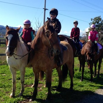 A&A Equestrian - Horseback Riding Near Me - Pearce, Arizona