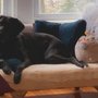 Lawless Upholstery