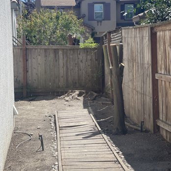 Navarro Tree Service - After - Tree Services Near Me Navarro Tree Service - After - Tree Services Near Me