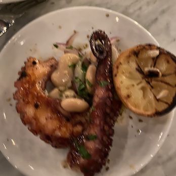 Baba On Central - Grilled octopus was made to perfection. - Greek Near Me - St. Petersburg, Florida Baba On Central - Grilled octopus was made to perfection. - Greek Near Me - St. Petersburg, Florida